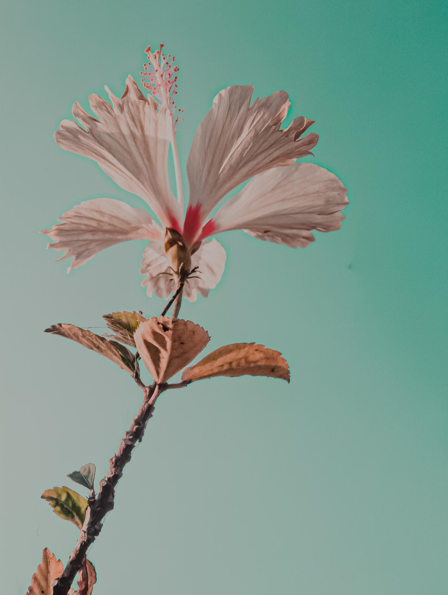 A light orange cat sleeping on a yoga mat in a warmly lit yoga studio - a moment of rest and restoration.