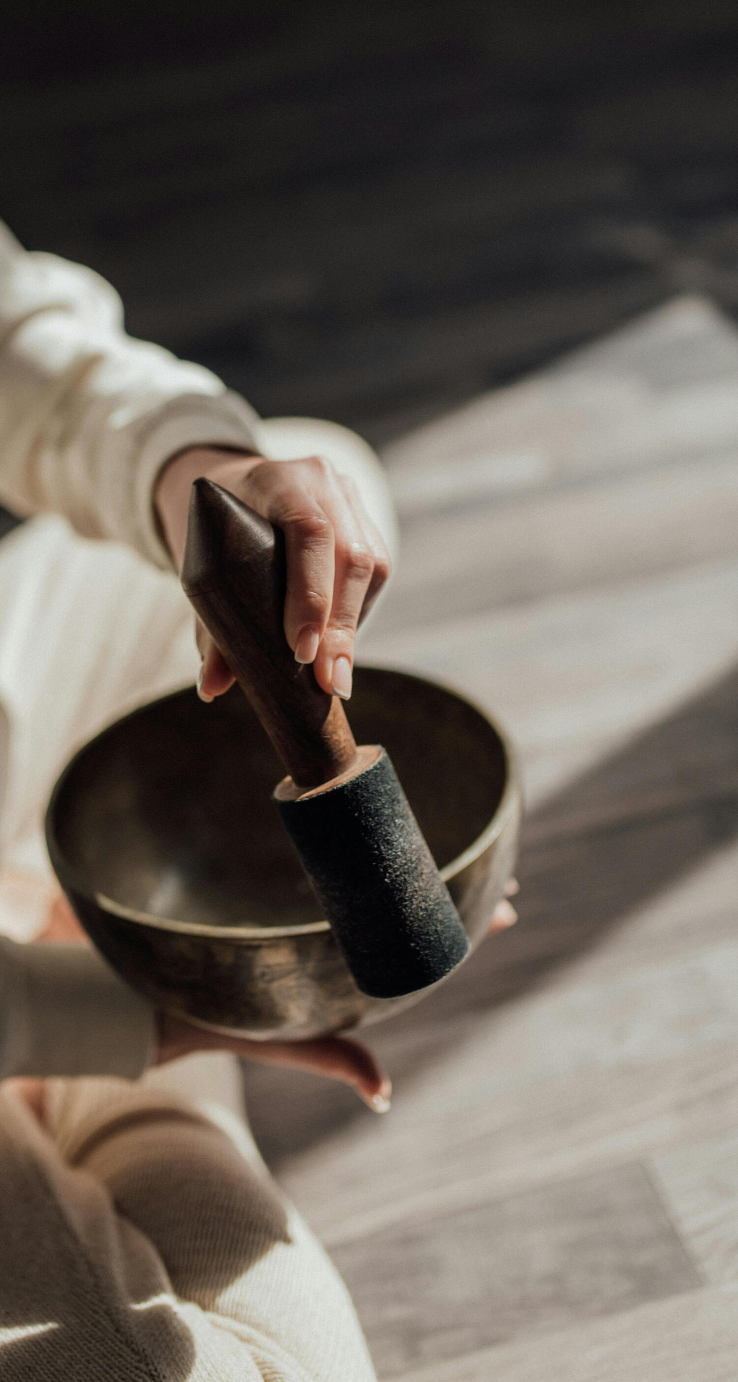 A single in-focus branch of a maidenhair fern against an out-of-focus forest background.