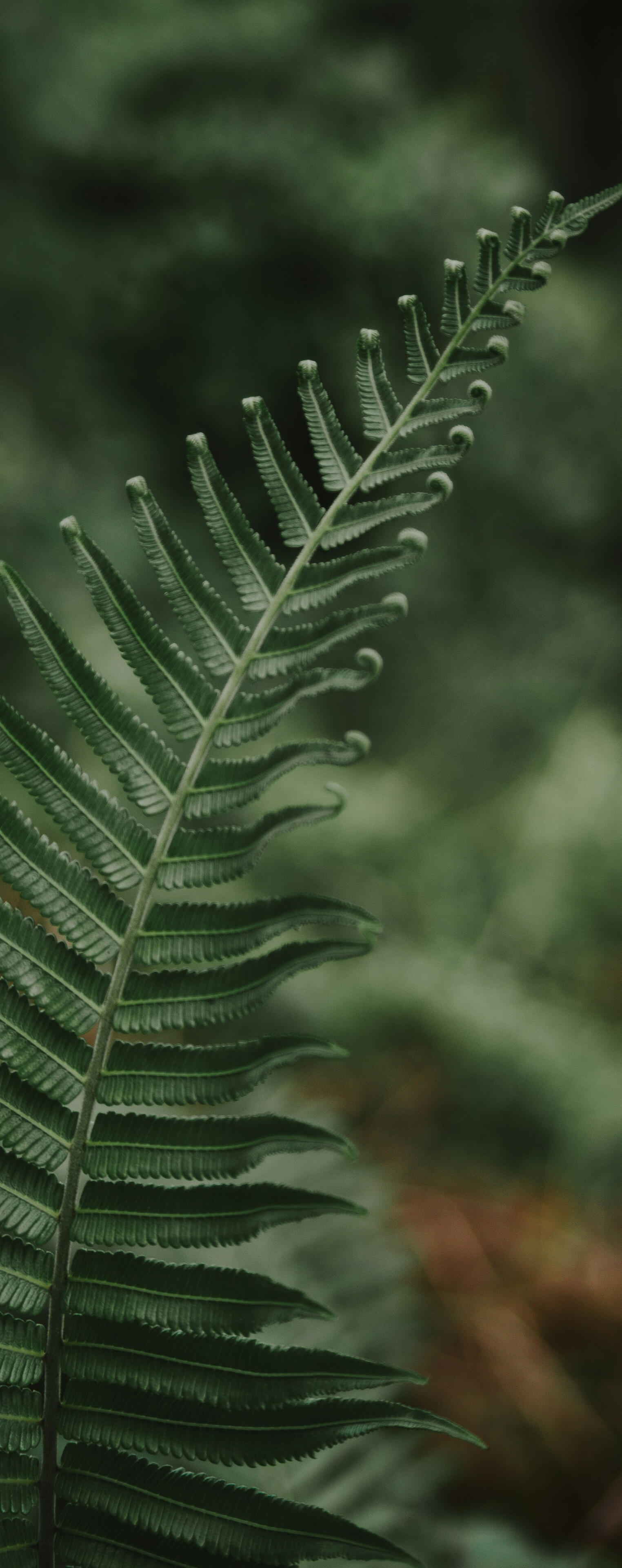 A single stick of incense in a wooden incense burner on a wooden floor, caught in a beam of sunlight, smoke swirling in the air.