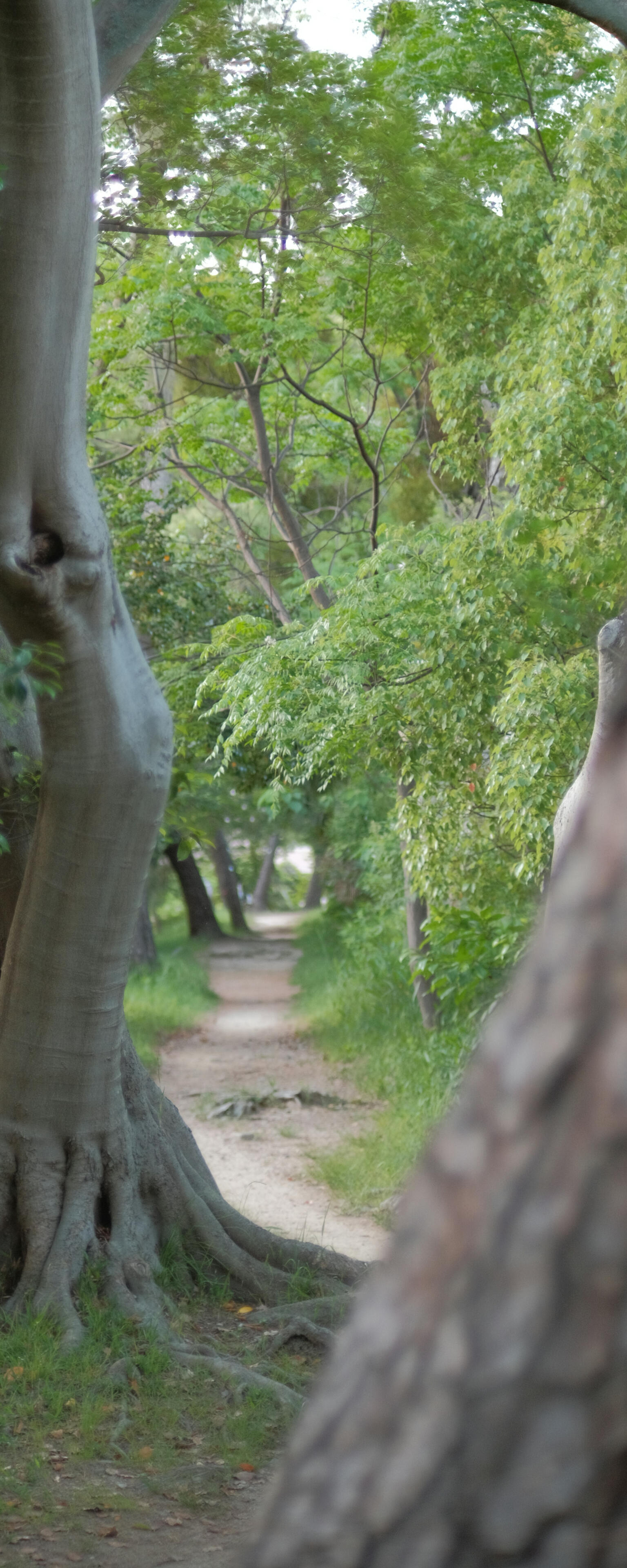 A single stick of incense in a wooden incense burner on a wooden floor, caught in a beam of sunlight, smoke swirling in the air.